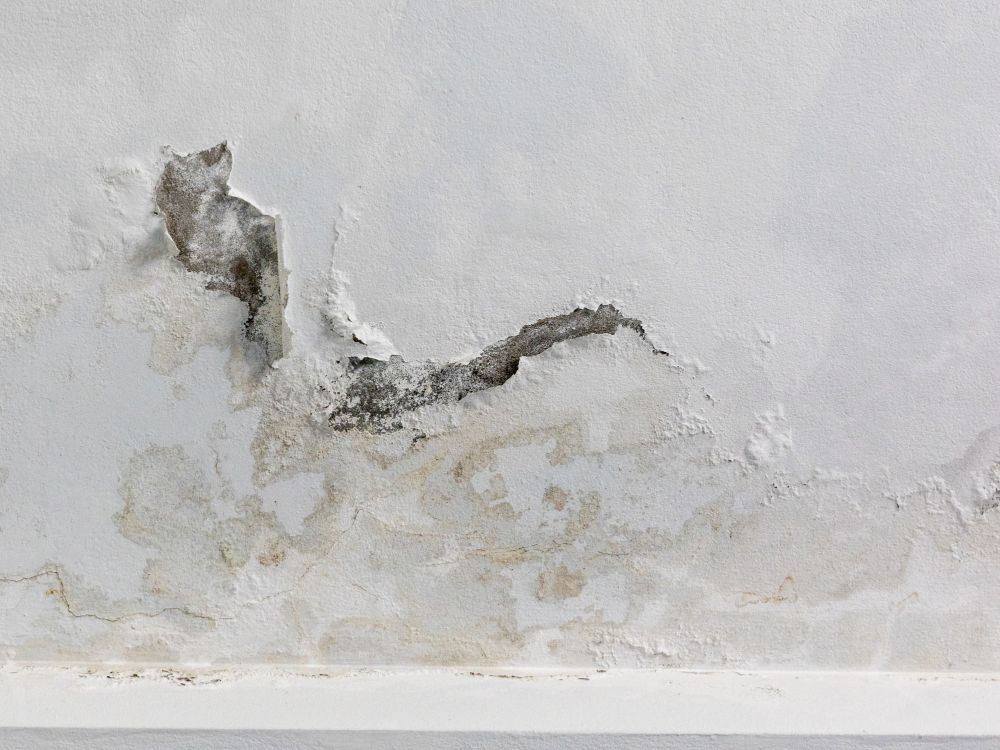 Parede com infiltração e mofo mostrando sinais comuns de como descobrir vazamento de água em casa.